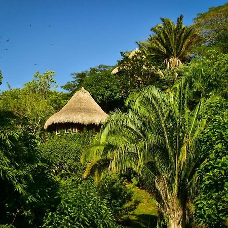 Hotel Ecohabs Bosques Del Tayrona Calabazo  Exterior foto