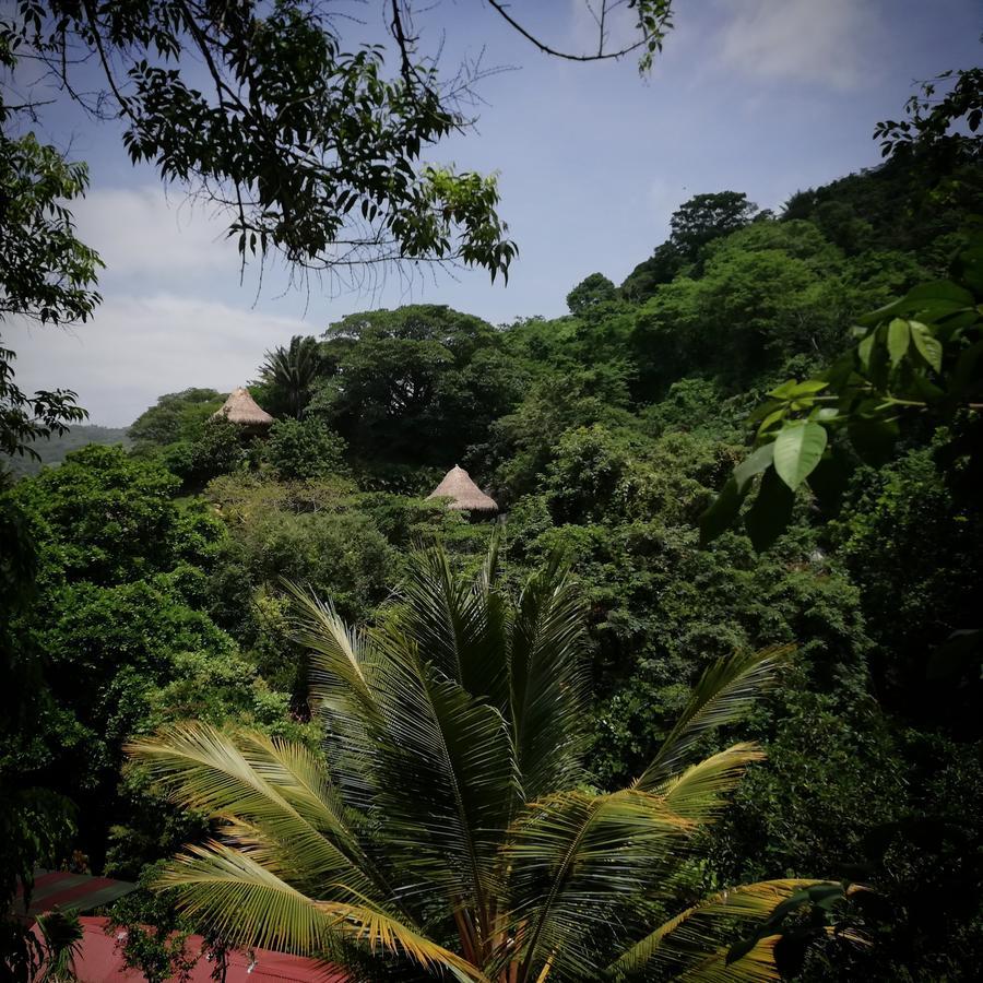 Hotel Ecohabs Bosques Del Tayrona Calabazo  Exterior foto