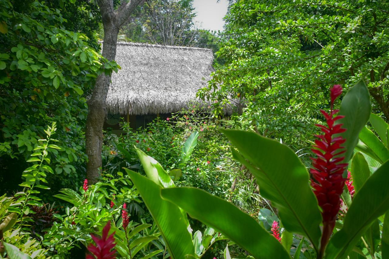 Hotel Ecohabs Bosques Del Tayrona Calabazo  Exterior foto