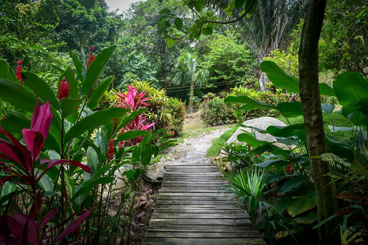 Hotel Ecohabs Bosques Del Tayrona Calabazo  Exterior foto