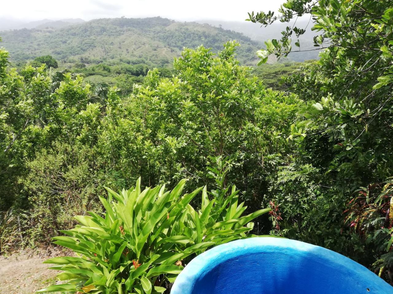 Hotel Ecohabs Bosques Del Tayrona Calabazo  Exterior foto