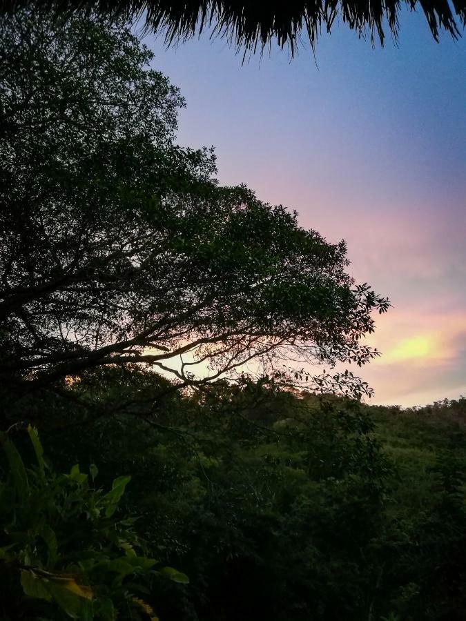 Hotel Ecohabs Bosques Del Tayrona Calabazo  Exterior foto